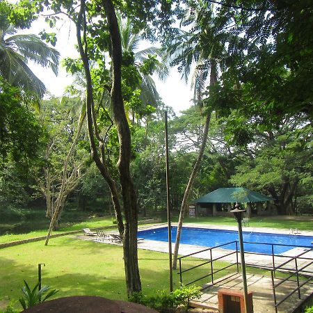 Dambulu Oya Family Park Hotel Dambulla Exterior foto