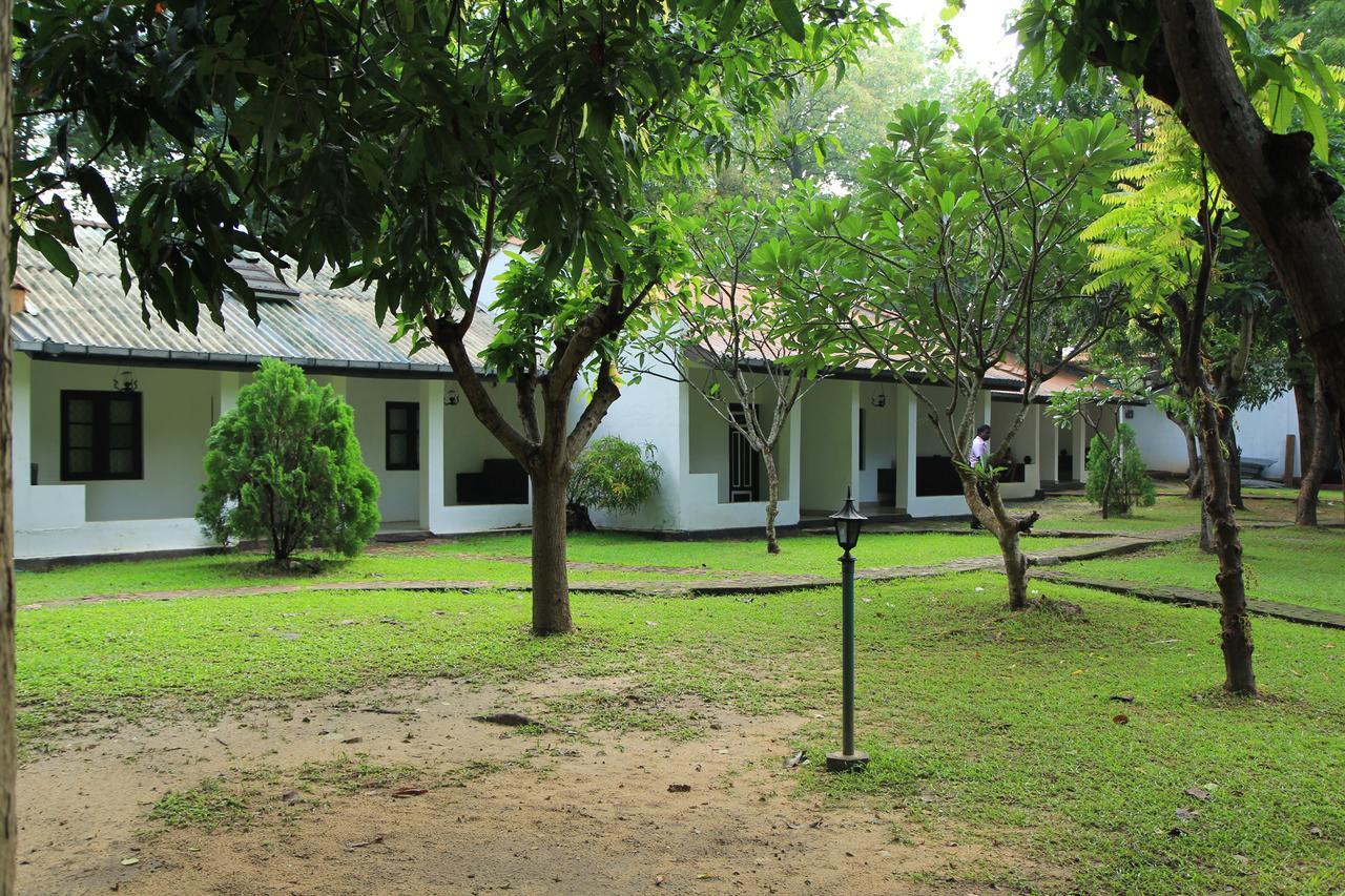 Dambulu Oya Family Park Hotel Dambulla Exterior foto