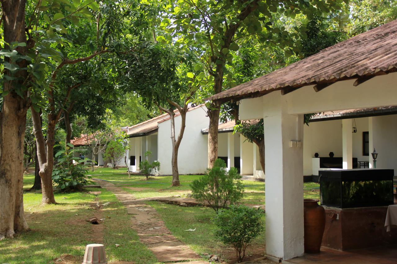 Dambulu Oya Family Park Hotel Dambulla Exterior foto
