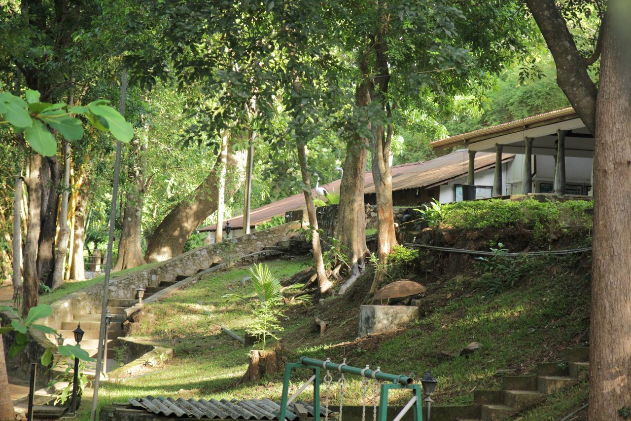 Dambulu Oya Family Park Hotel Dambulla Exterior foto