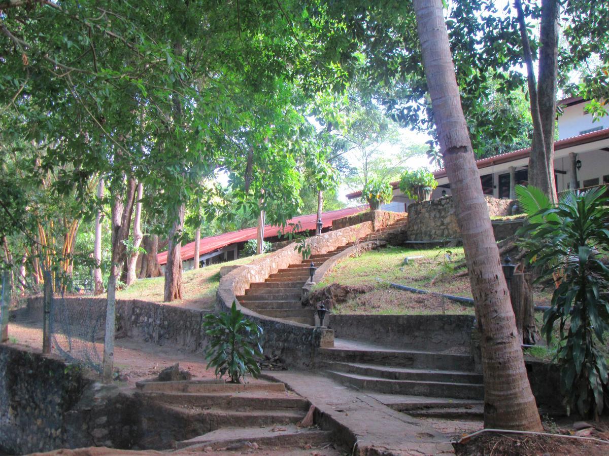 Dambulu Oya Family Park Hotel Dambulla Exterior foto