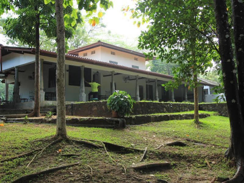 Dambulu Oya Family Park Hotel Dambulla Exterior foto
