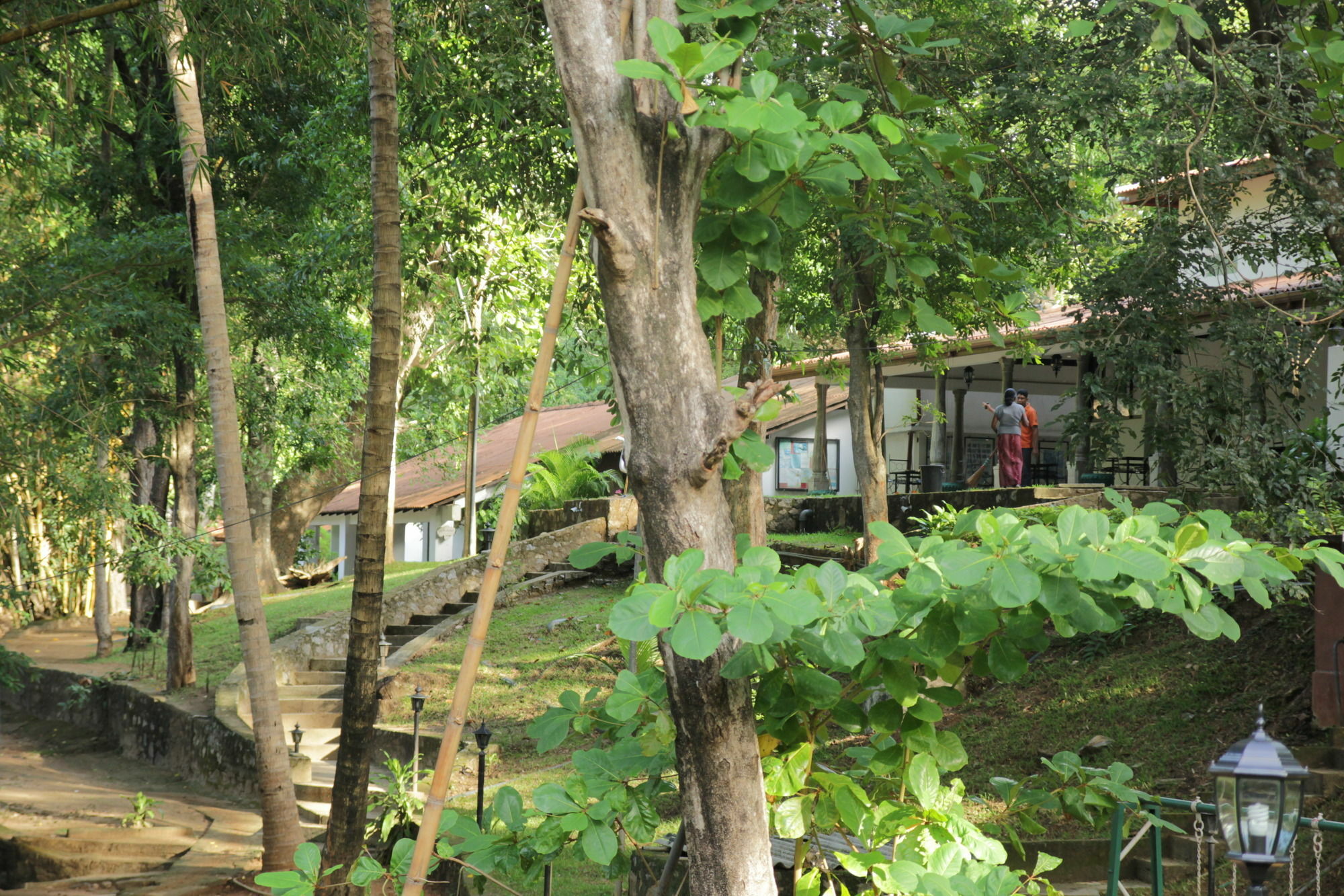 Dambulu Oya Family Park Hotel Dambulla Exterior foto