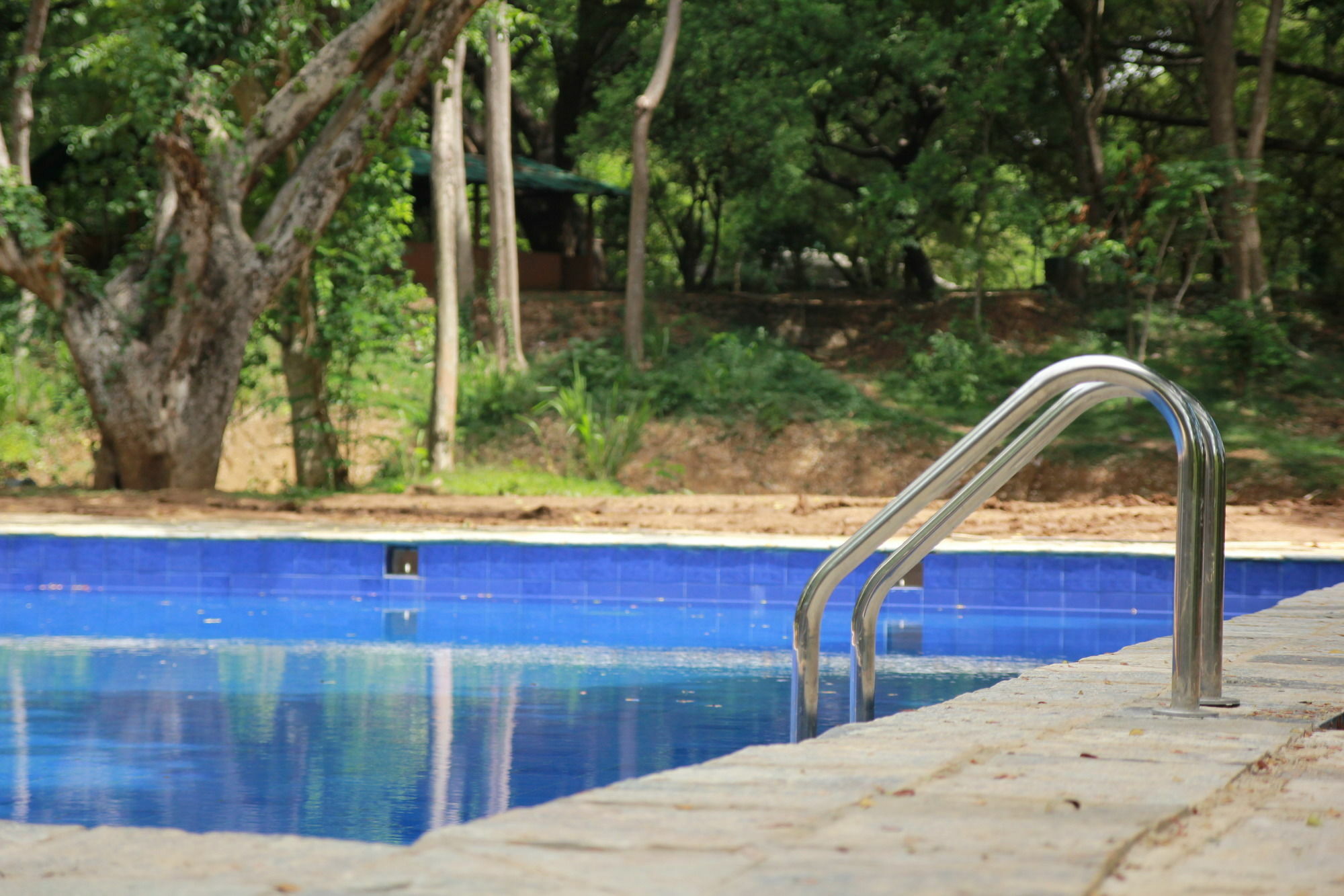 Dambulu Oya Family Park Hotel Dambulla Exterior foto